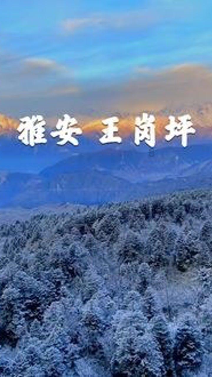 小魔仙的闺蜜装